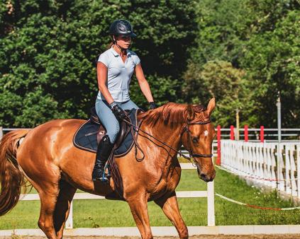 cavaliere au saut d'obstacles