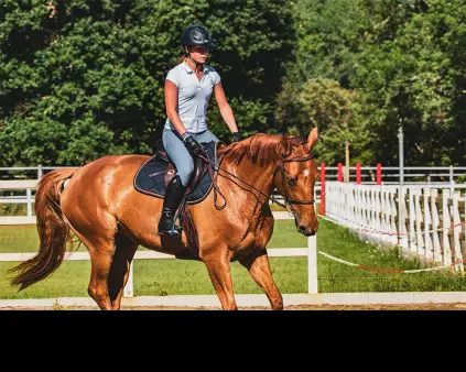 cavaliere au saut d'obstacles