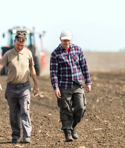 agriculteurs dans un champ