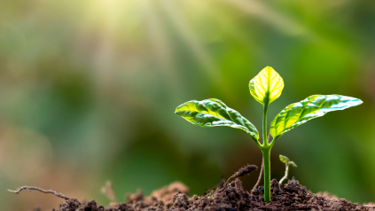 santé des sols agricoles