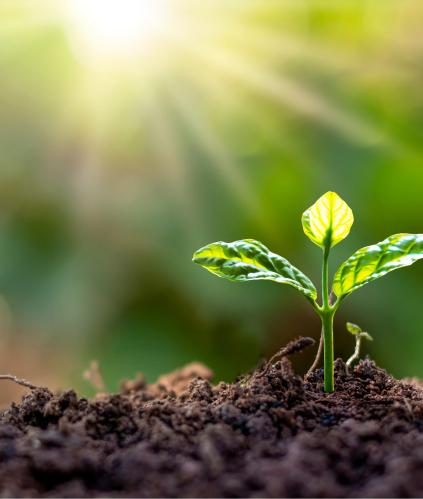 santé des sols agricoles