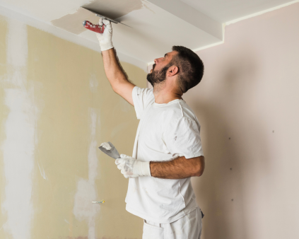 professionnel en batiment