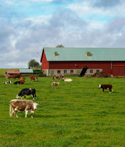 exploitation agricole