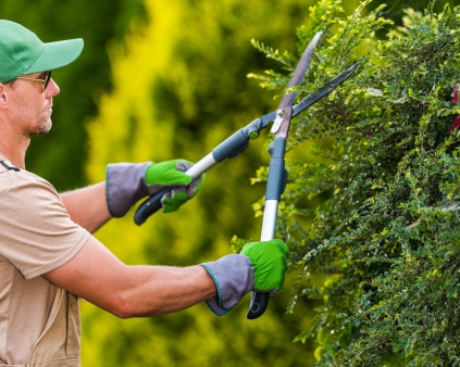 paysagiste en exercice