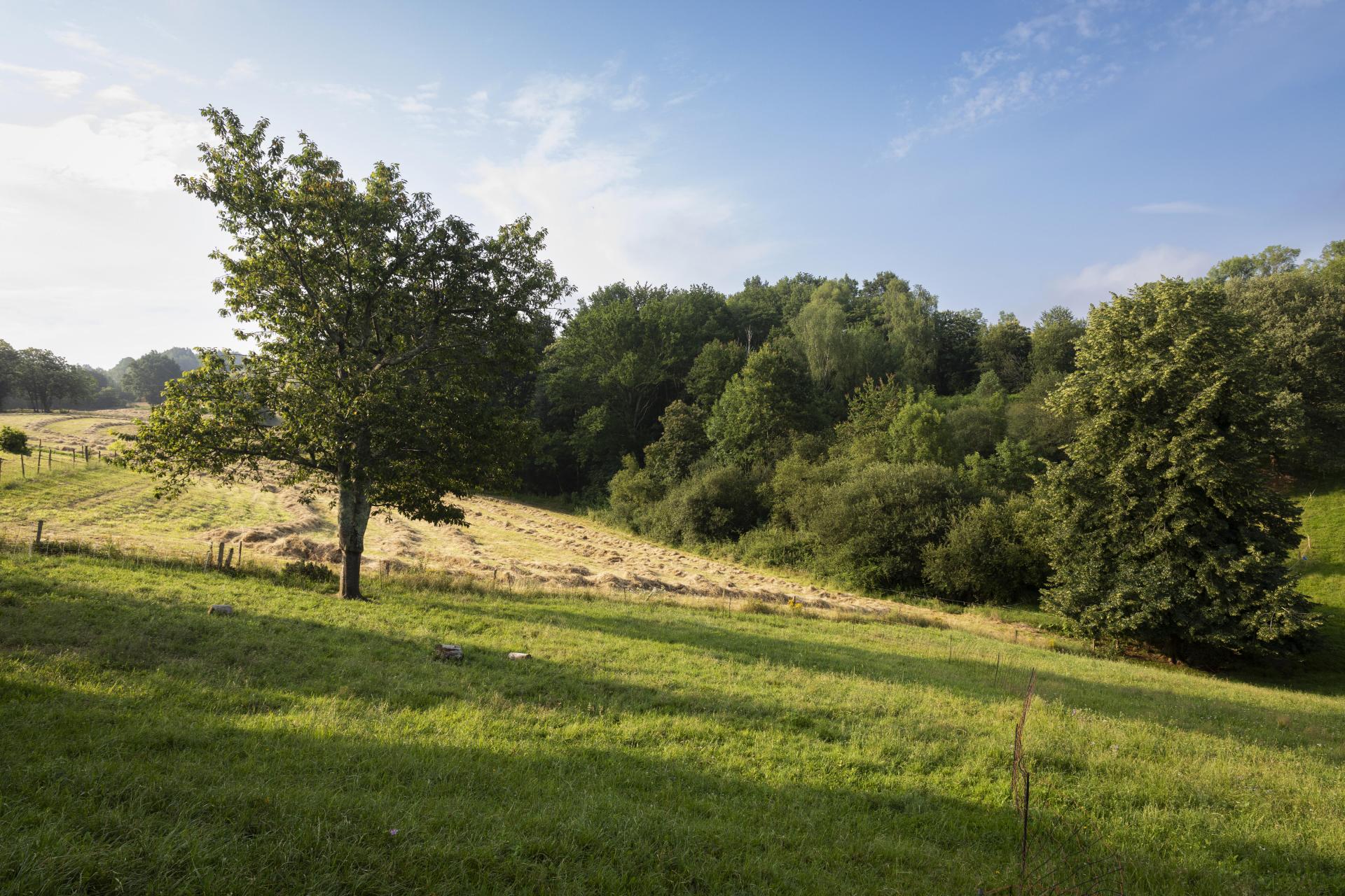 Transition energetique entreprise
