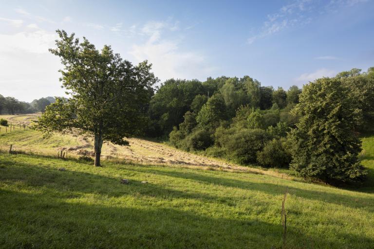 Transition energetique entreprise