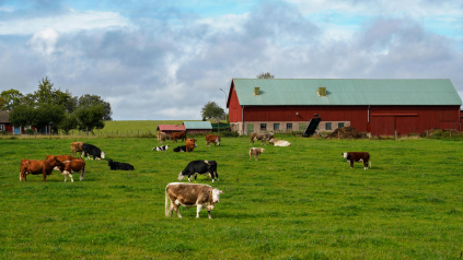 exploitation agricole