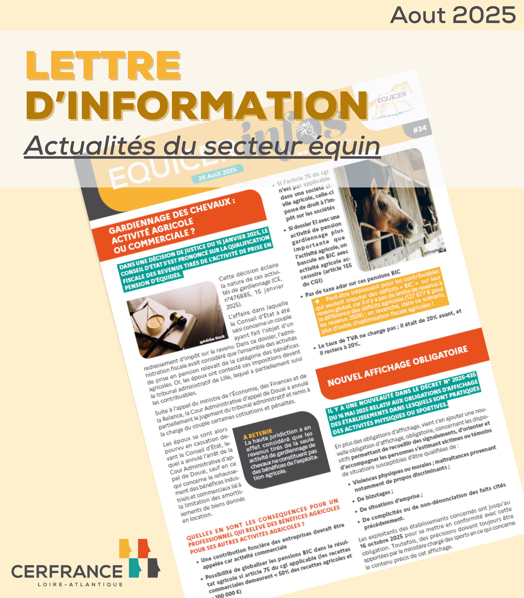 vignette du document