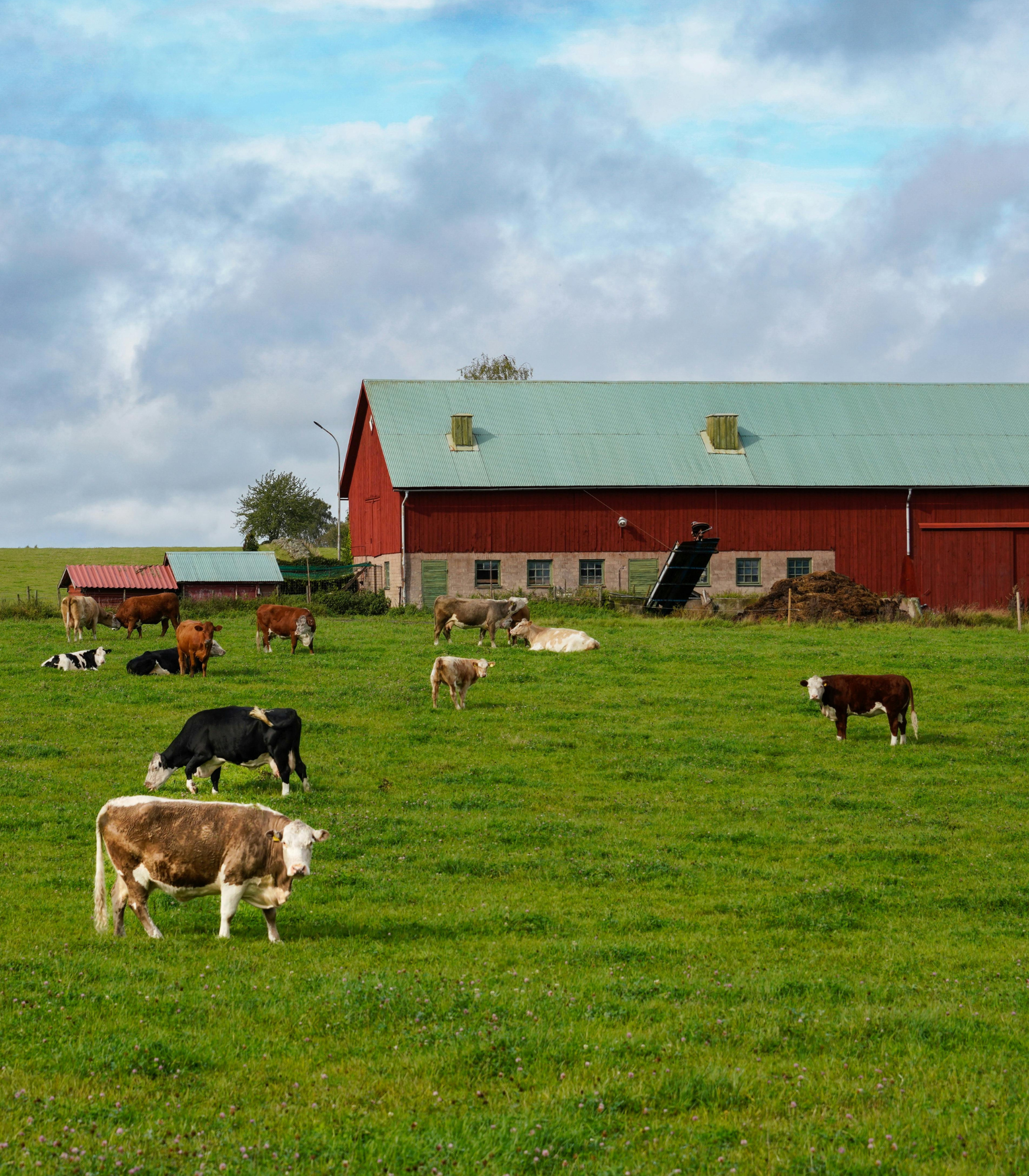 exploitation agricole