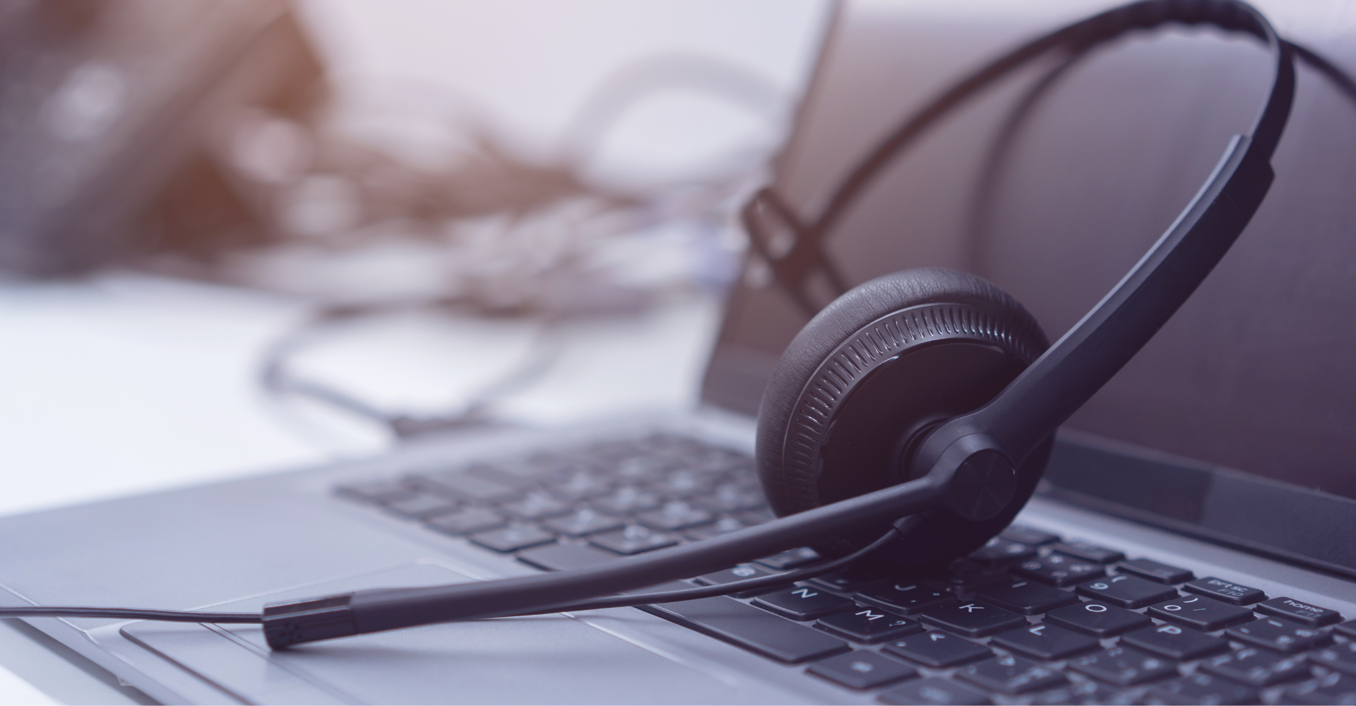 services proposés par IO Conseil