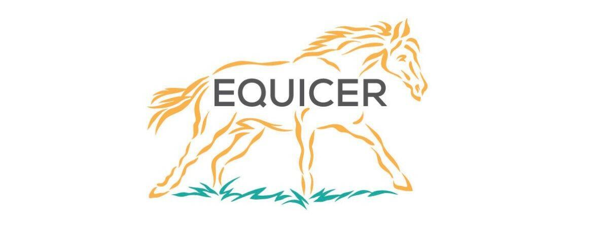 logo Equicer