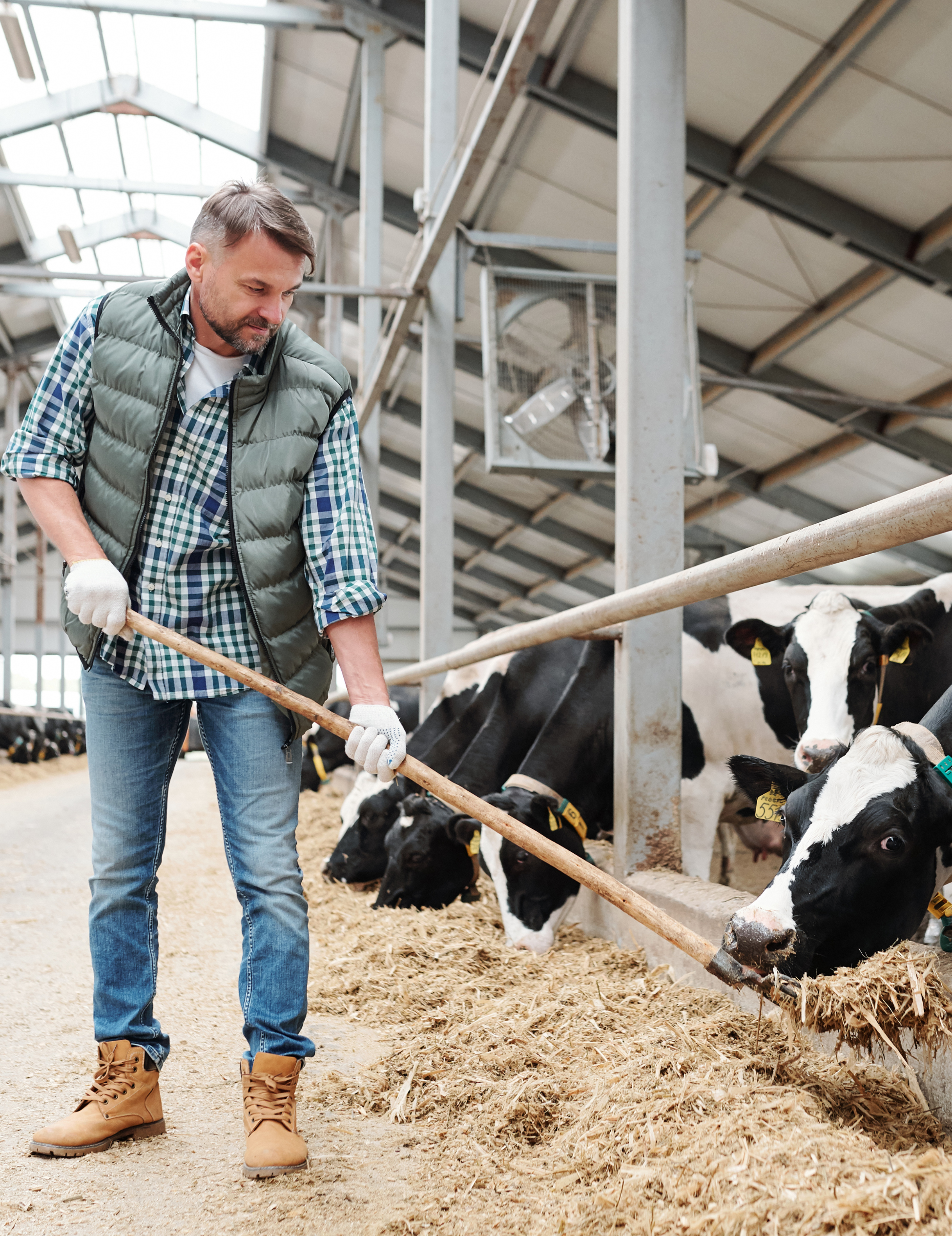 agriculteur dans son exploitation