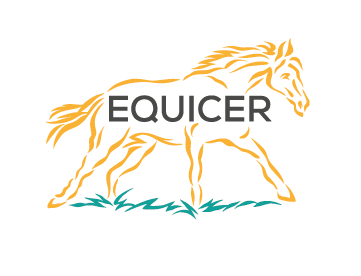 logo Equicer